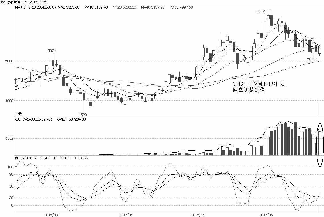 在近两周以来的振荡调整走势中,棕榈油1601合约持续围绕40日均线反复盘整,同时持仓量也小幅下降,前期空头有趁机离场迹象,这将有助于限制期货价格的下跌空间。而6月24日放量低开高走,收出中阳K线,则说明市场多头力量正在重新积聚。