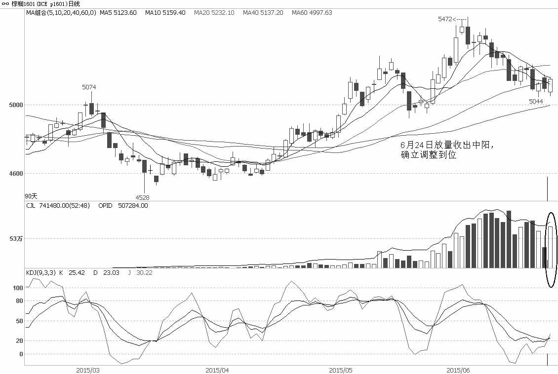 在近两周以来的振荡调整走势中，棕榈油1601合约持续围绕40日均线反复盘整，同时持仓量也小幅下降，前期空头有趁机离场迹象，这将有助于限制期货价格的下跌空间。而6月24日放量低开高走，收出中阳K线，则说明市场多头力量正在重新积聚。