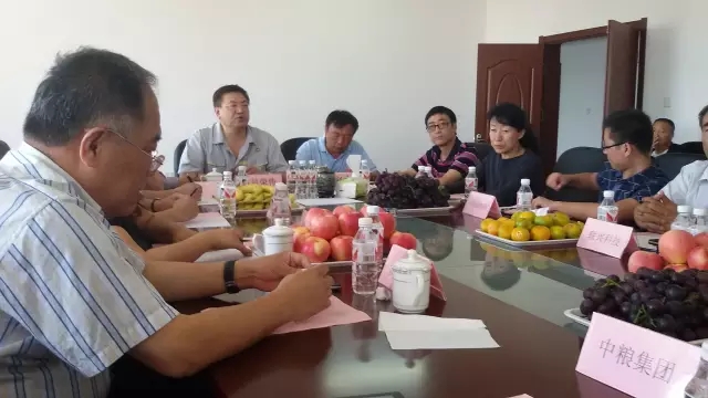 深度调研：玉米价格的昨天今天和明天